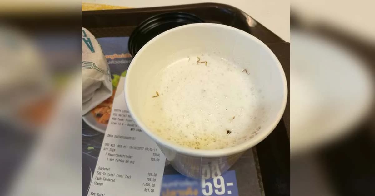 หนุ่มช็อกหนัก ! เจอขาแมลงสาบในแก้วกาแฟร้านฟาสต์ฟู้ดดังถึง 2 ครั้ง