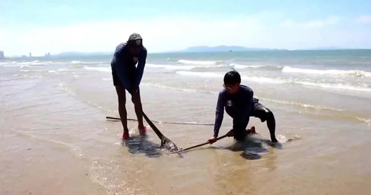 แตกตื่น โทรแจ้ง จนท.จับ สัตว์คล้ายจระเข้ว่ายน้ำในทะเล