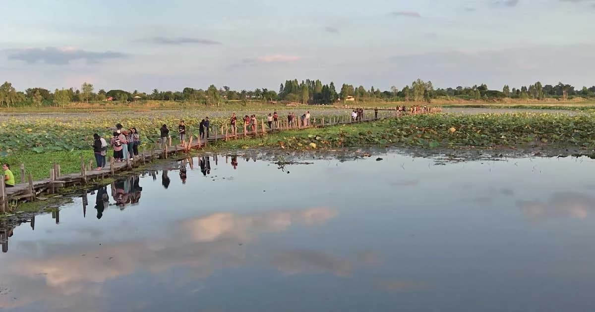 อากาศเริ่มเย็น ! นักท่องเที่ยวแห่เที่ยวสะพานไม้แกดำ