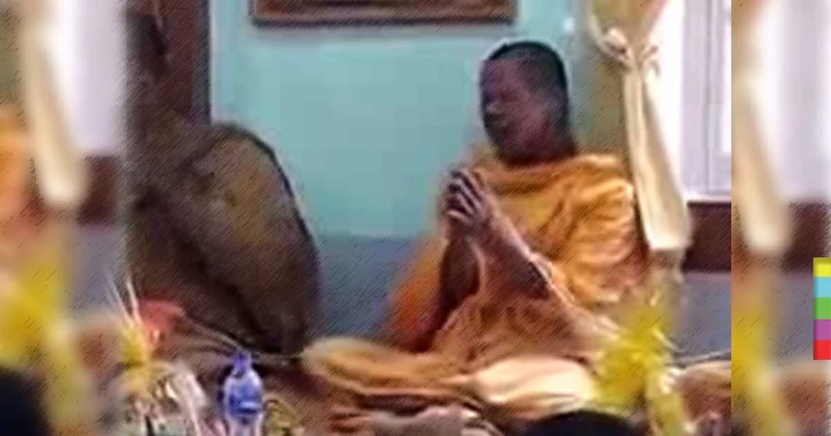 หลวงพี่ขาร็อก ! ร่ายบทสวดจนโยมไม่กล้าหลับ