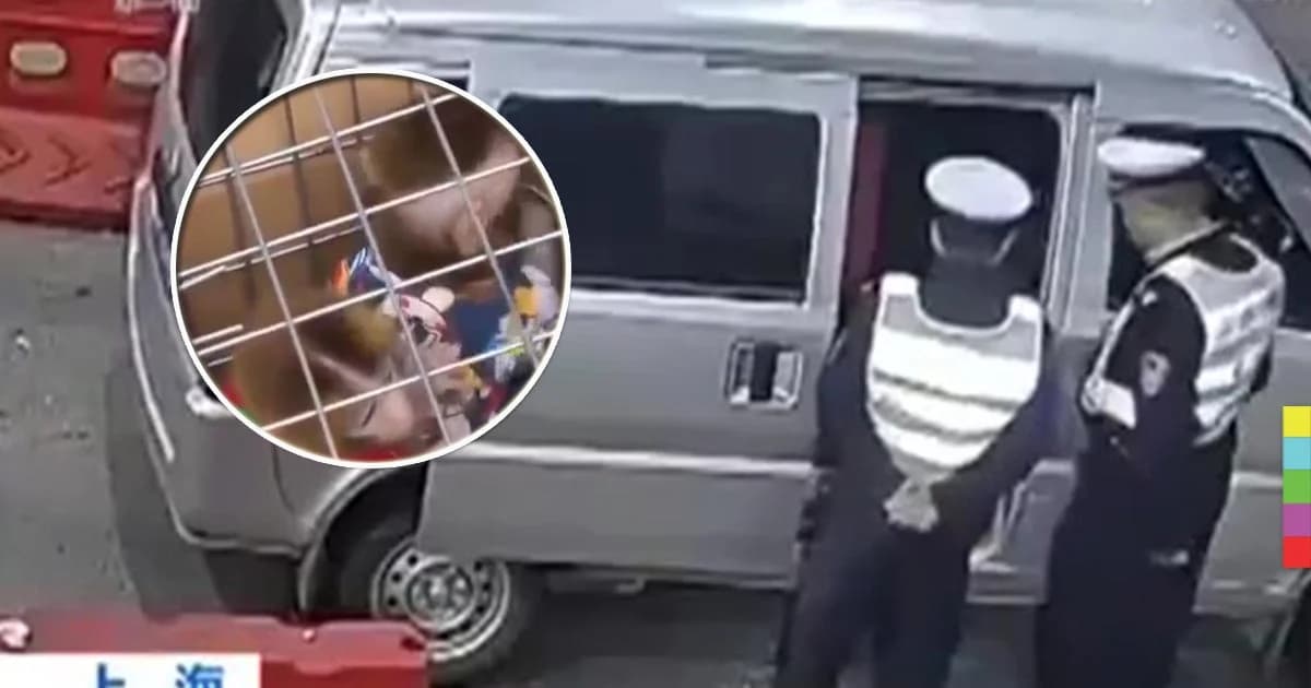 รวบสองผัวเมีย! ขโมยลิงซุกกางเกง ที่สวนสัตว์ในจีน