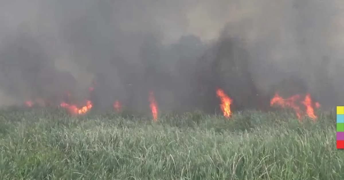 วอดกว่า 200 ไร่ ! ไฟไหม้หญ้าและป่ากก ย่านรังสิต-นครนายก