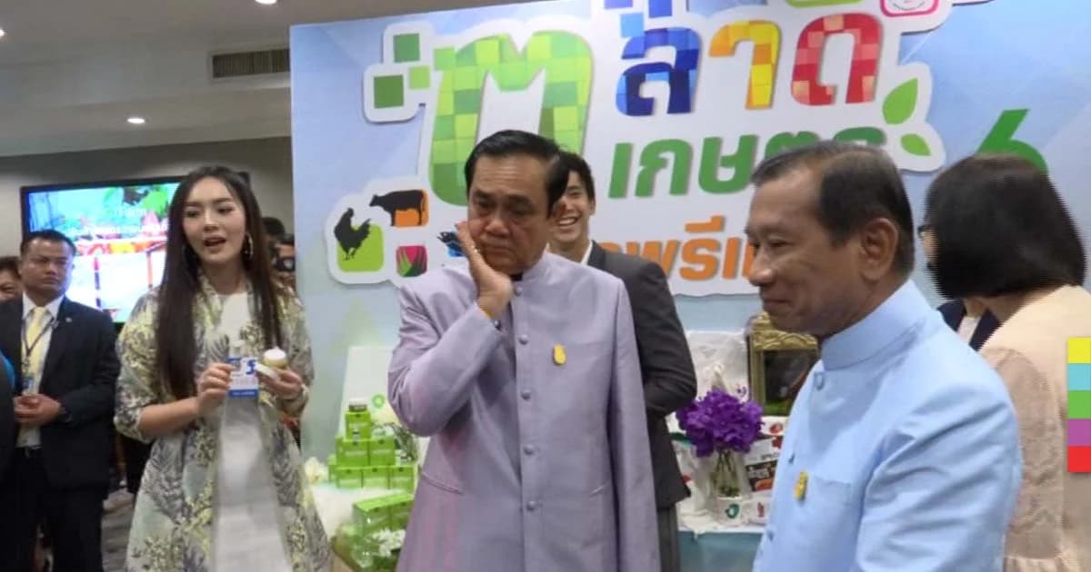 นายกฯ ท้านักการเมืองวิจารณ์รัฐบาล บอกวิธีแก้ปัญหาราคายาง – ข้าว