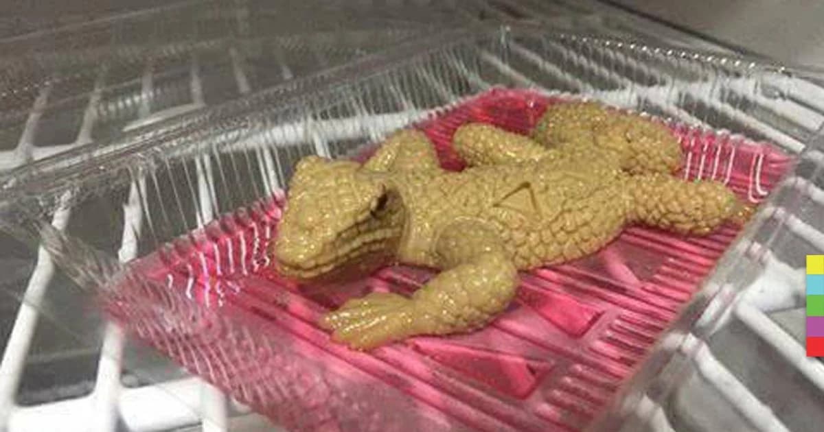 “วุ้นตัวเงินตัวทอง” มาแล้วต้องลอง ! เจ้าของเดียวกับ วุ้นน้องหมา – วุ้นอุนจิ