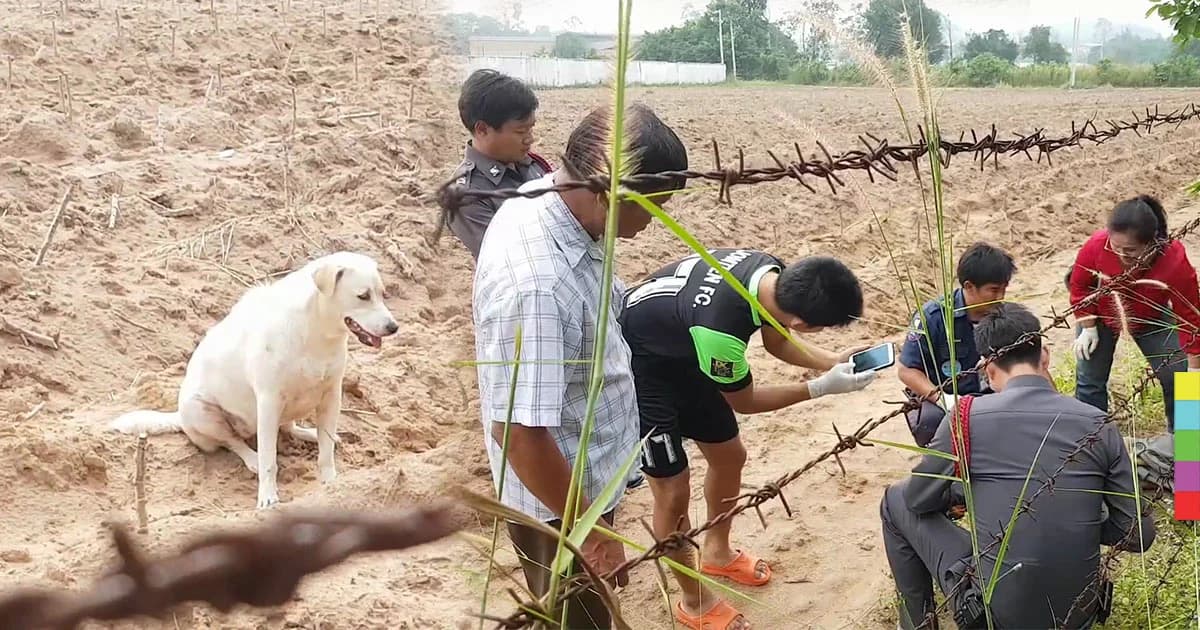 ตูบผู้จงรัก เฝ้าศพเจ้านายนาน 2 วัน