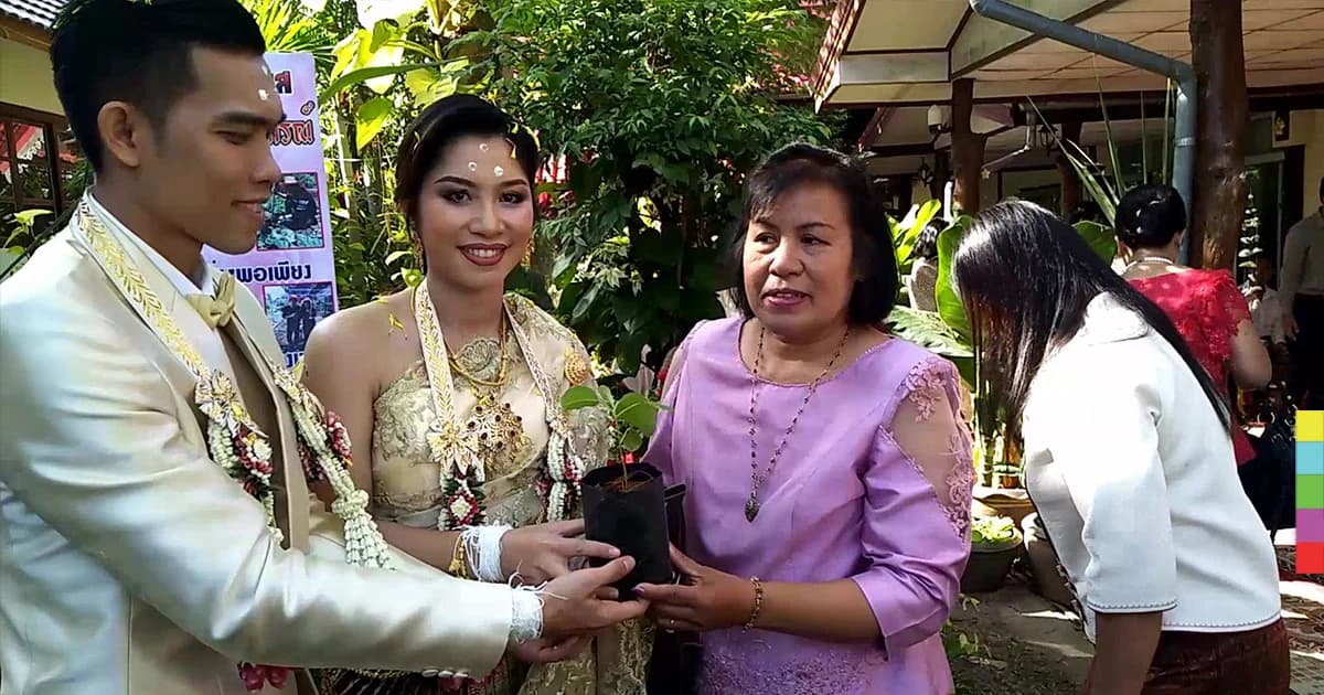 ไอเดียสุดเก๋! งานแต่งบ่าวสาว แจก “เพาะต้นกล้า พริก มะเขือ” เป็นของชำร่วย