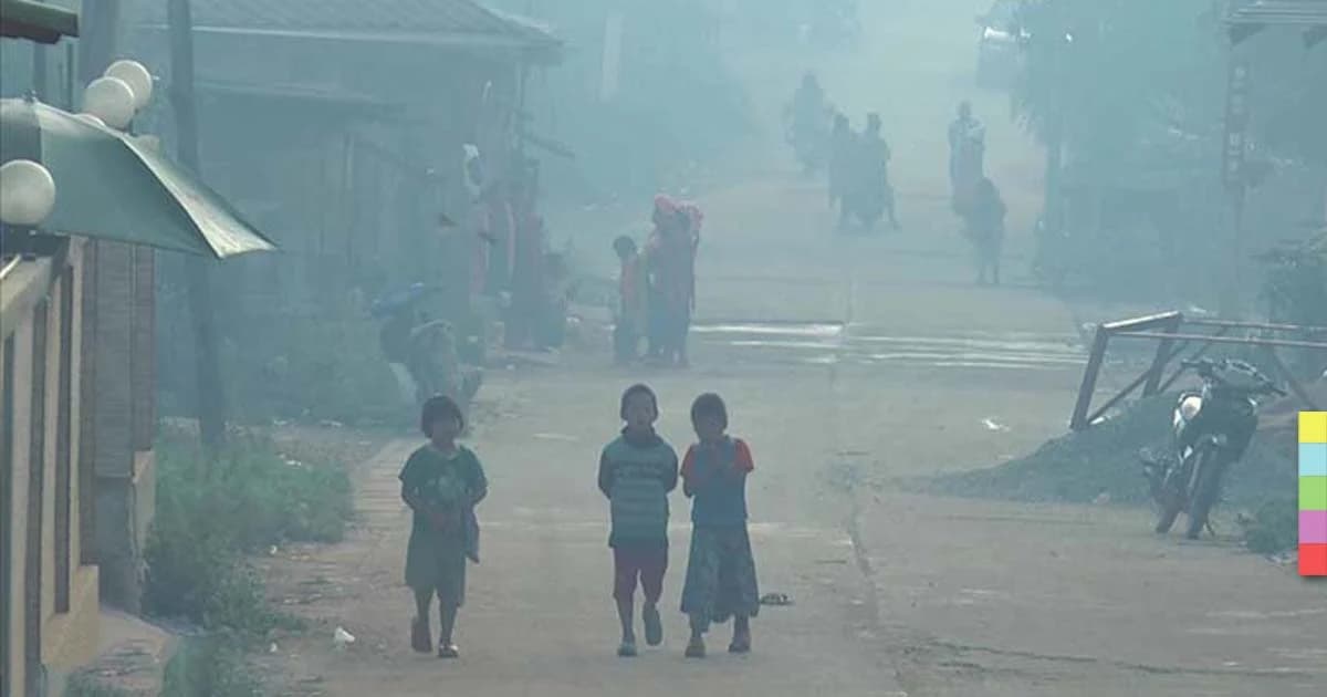 ตากหนาวยะเยือกแล้ว ชาวเขาวิ่งหาฟืนวุ่น