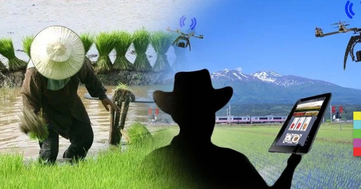 ตั้งเป้าปี 61 อบรมเกษตรกร 1 ล้านคน ใช้เน็ต – สมาร์ทโฟนเป็น!