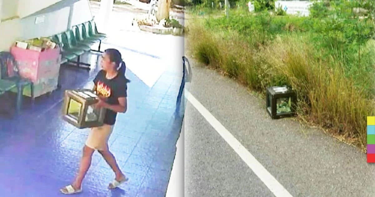 แม่ค้าไก่ย่างสำนึกผิด ขโมยตู้บริจาค 15 นาทีเอาโยนทิ้งข้างทาง