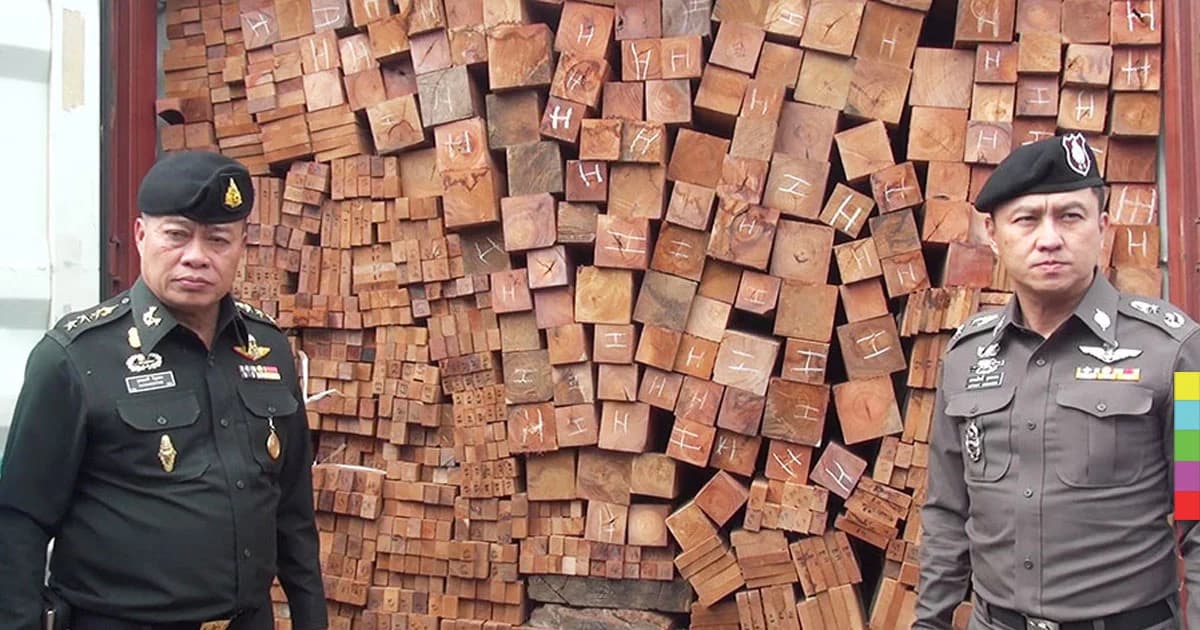 สปป.ลาวประสานไทย สกัดจับไม้ประดู่ผ่านด่าน ไปจีน กว่า 8 หมื่นท่อน