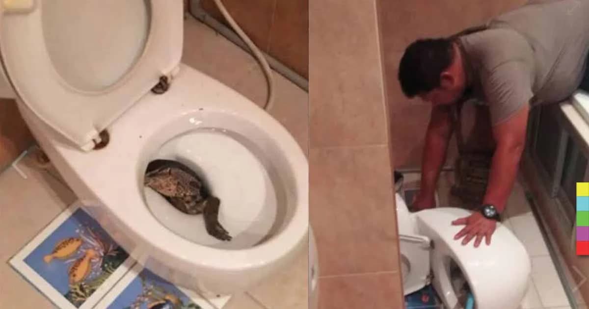 เจ้าของบ้านผวา! เจอวรนุชโผล่ในส้วม