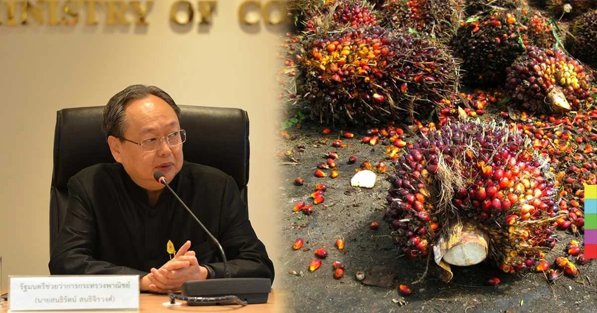 กนป.ลดสต็อก ‘ปาล์มดิบ’ 2 แสนตัน แก้ปัญหาราคาตกต่ำ