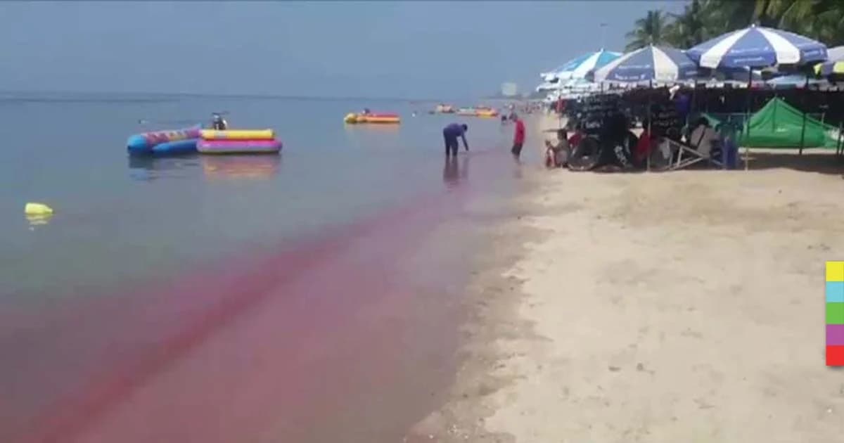 ‘ทะเลสีชมพู’ ปรากฏการณ์แพลงก์ตอนพืช ในทะเลเขตร้อน