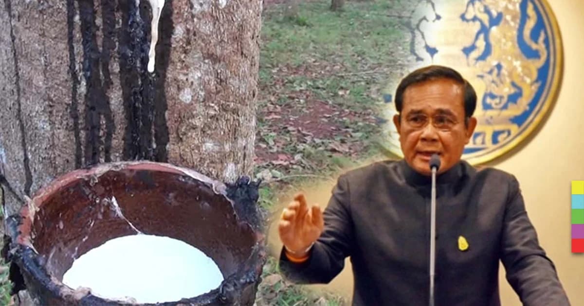 นายกฯนั่งหัวโต๊ะ กนย. แก้ปัญหายางธรรมชาติ