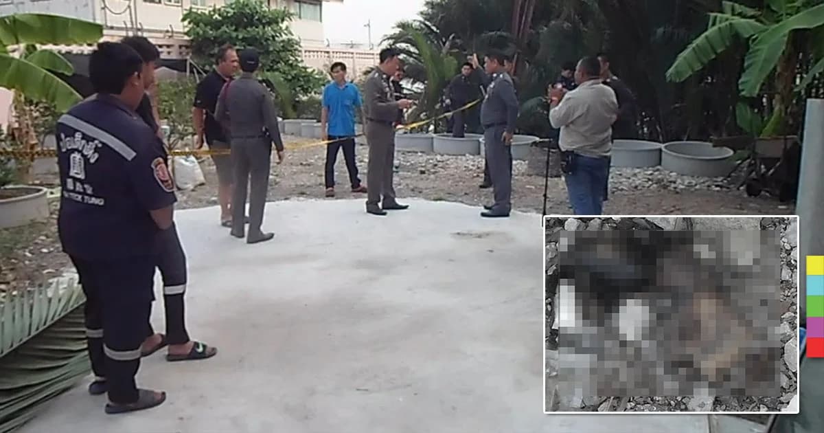 ผงะ ! พบชิ้นส่วนมนุษย์ซุกป่า ย่านพระประแดง