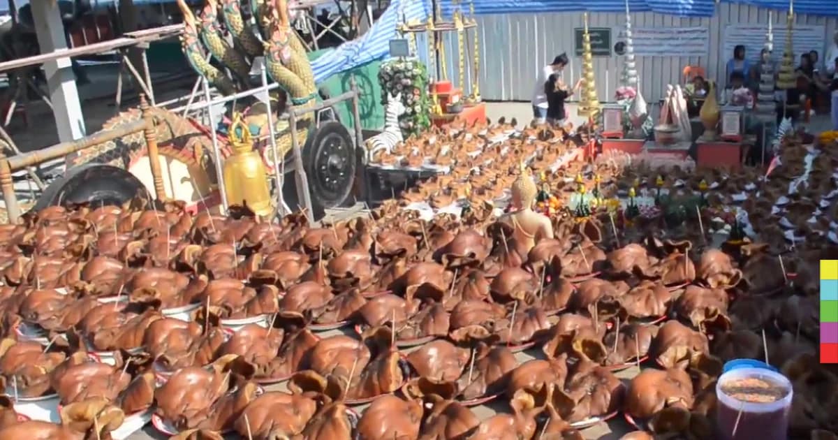 แก้บนหัวหมู 300 หัวถวาย “หลวงพ่อสมหวัง”