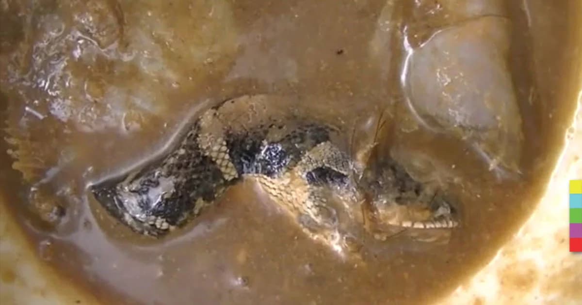 ซื้อปลาร้ามาตำน้ำพริก เจอหัวงูอ้วกแทบพุ่ง