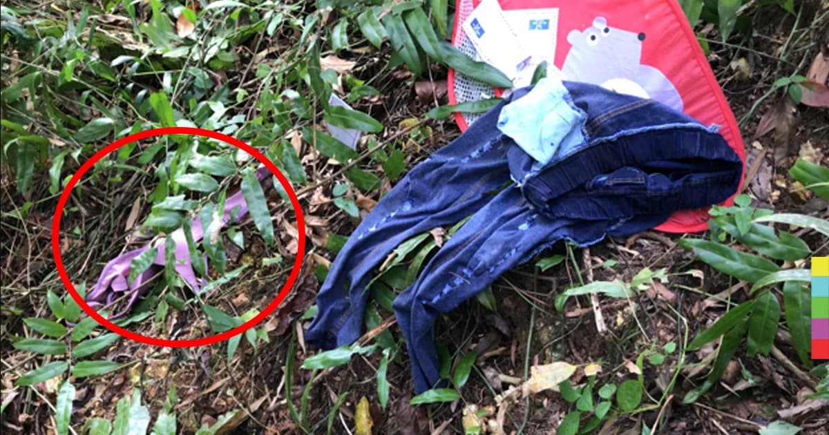 พบชุดชั้นในถูกทิ้งกลางป่า หวั่นเกิดอันตราย
