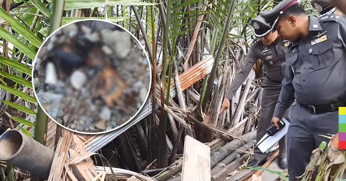 ผลนิติเวชชี้ ศพหนุ่มวัย 27 ปี ถูกทุบด้วยของแข็ง ก่อนฆ่าแยกชิ้นหมกป่าจาก