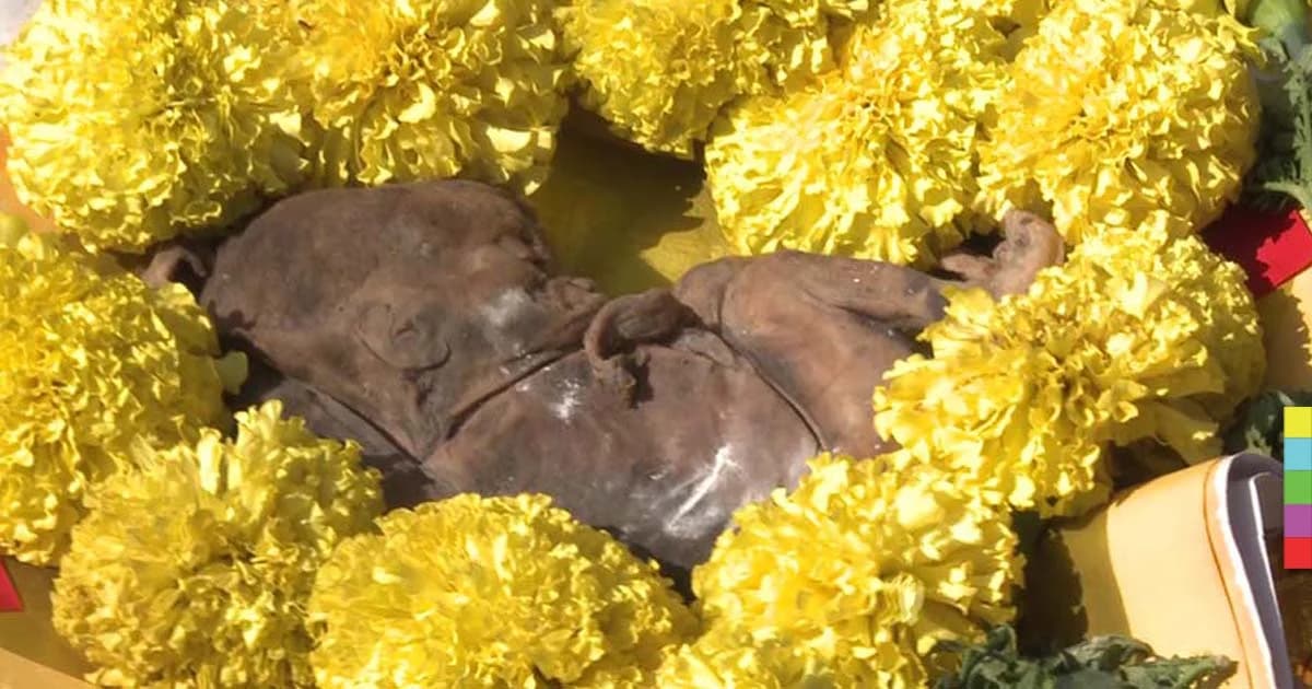 ขุดพบลูกกรอก 20 ซม. สภาพไม่เน่าเปื่อย นำขึ้นให้บูชา