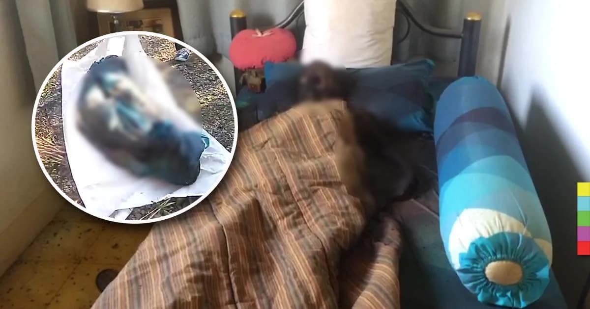 อดีตพนักงานประปา นอนตายคาบ้านพักพร้อมสุนัขคู่ใจ