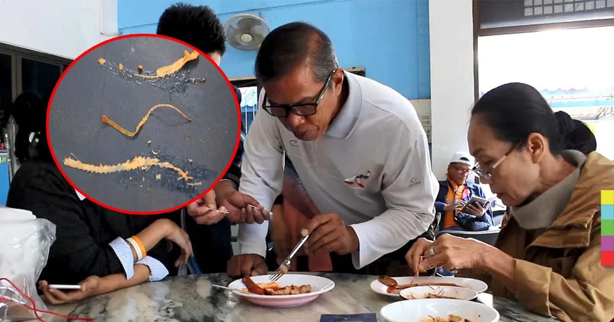 อ.เจษฎา ยัน “ก้างปลากระป๋องชัดๆ” ไม่ใช่พยาธิ