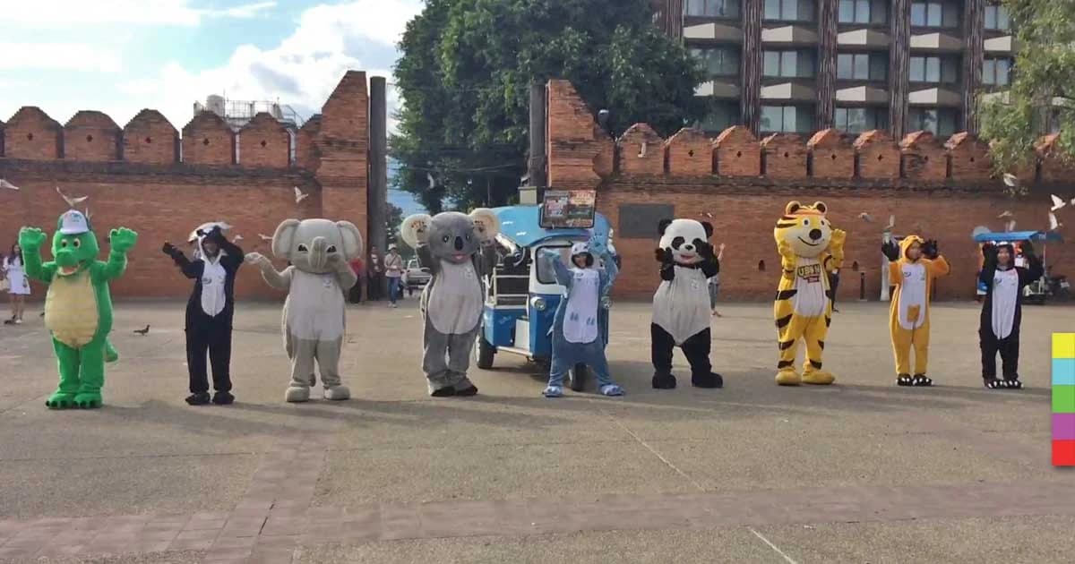 สีสันรับปีใหม่ ! สวนสัตว์เชียงใหม่ยกขบวนมาสคอตสัตว์แดนซ์กระจายกลางท่าแพ