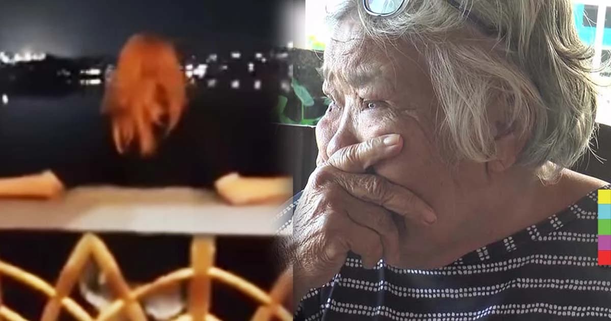 ยายช็อกเจอศพหลานสาว ไลฟ์สดกระโดดสะพาน