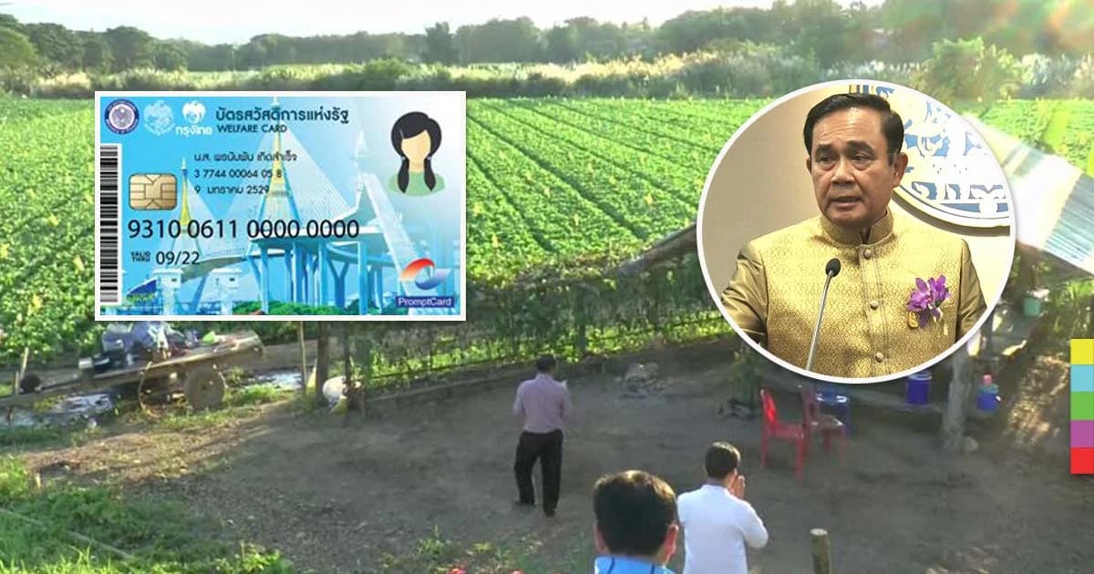 ครม.ผ่าน สวัสดิการแห่งรัฐ เฟส 2 ชูพัฒนาคุณภาพชีวิต