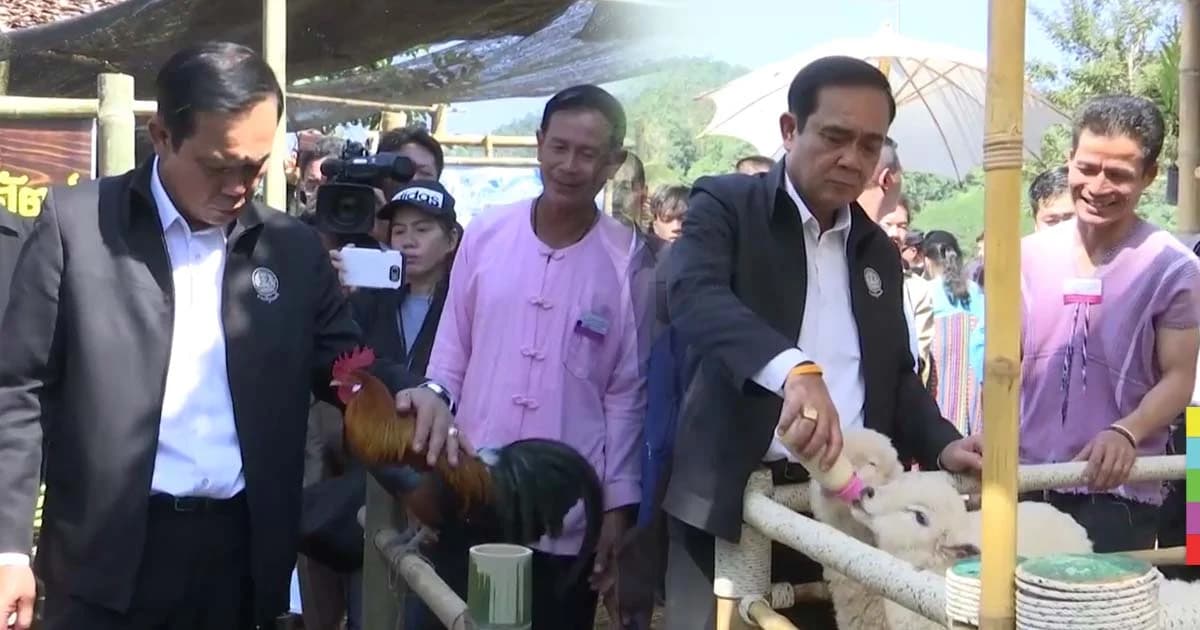 ‘บิ๊กตู่’ ส่งสัญญาณ ก.พ. เริ่มสวัสดิการแห่งรัฐเฟส 2 ไฮไลต์ ! นายกฯ รักสัตว์