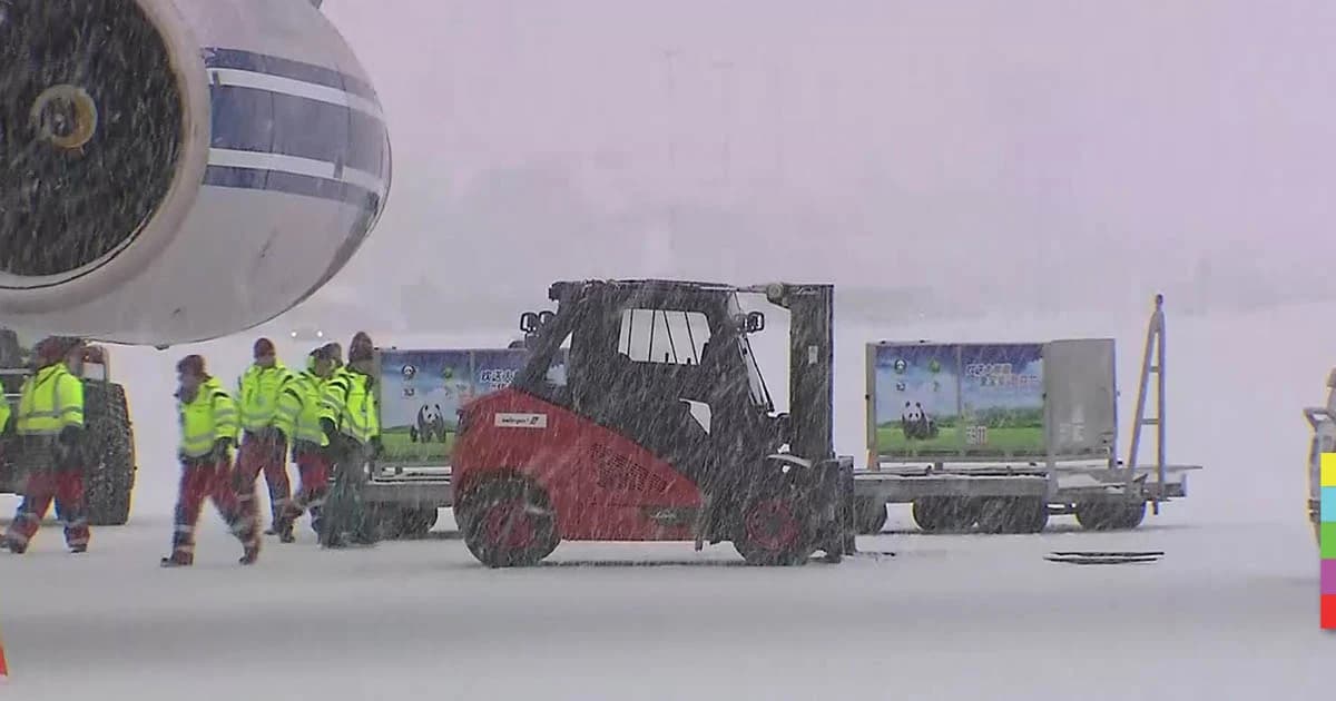 จีนส่ง “ฑูตแพนด้า” ถึงฟินแลนด์แล้ว!