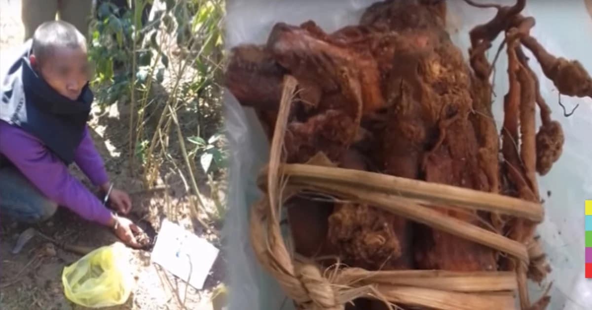 ผัวใจโหด แค้นเมียกว่า 3 ปี ต้มรากไม้พิษให้กินดับ