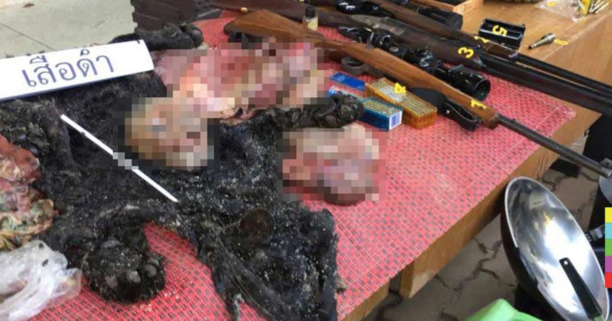 ไซเตส สนใจคดี ‘เปรมชัย’ ผู้ต้องหายิงเสือดำ