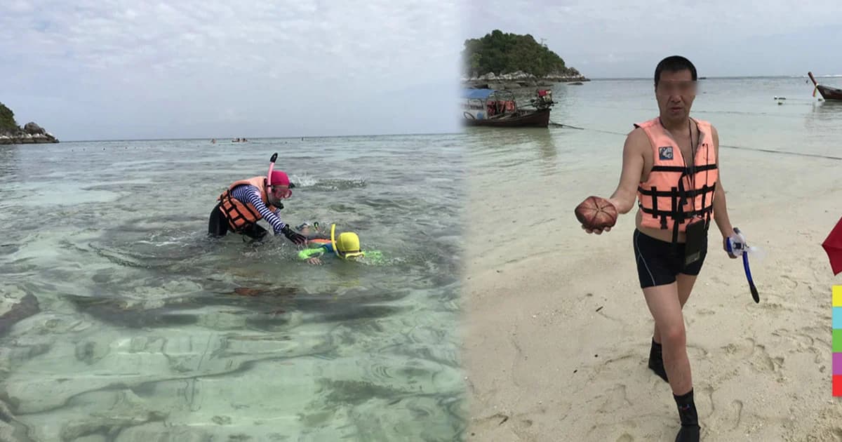 จับปรับทัวร์จีน ! เหยียบปะการัง-จับหอยเม่น กลางทะเลหลีเป๊ะ