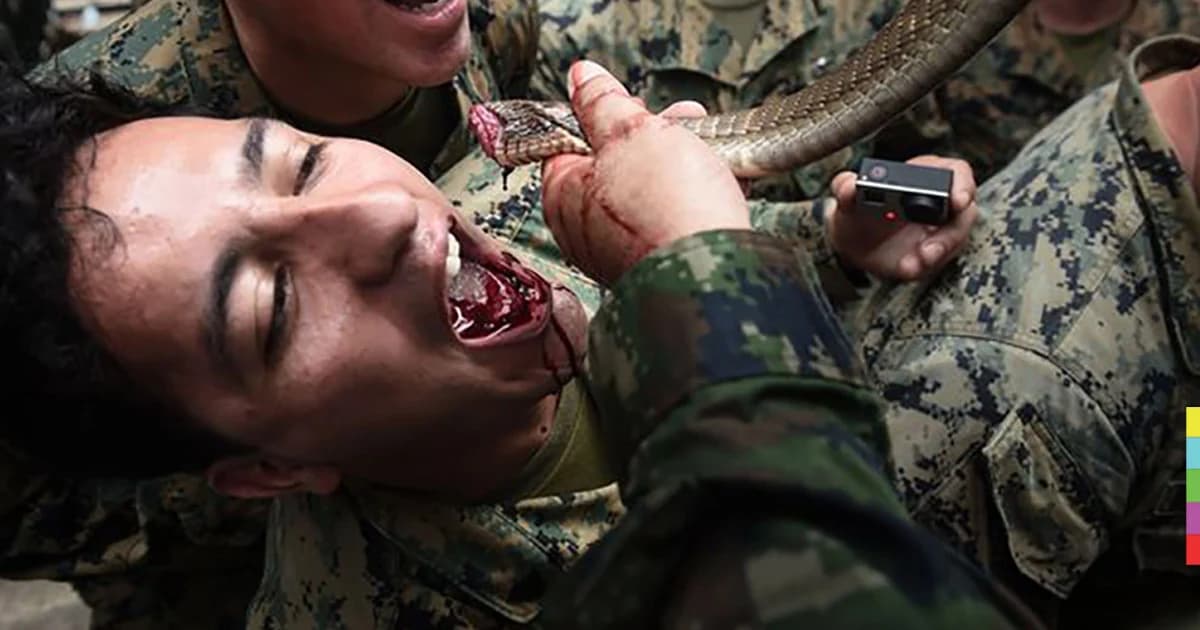 ทหารมะกัน-กิมจิ ดื่มเลือดงูเห่าสดๆ ในคอบร้าโกลด์ 2018