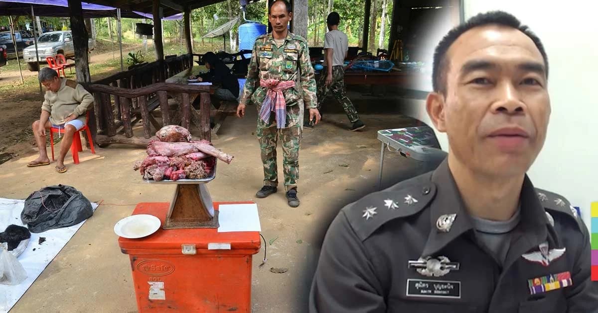 สังคมสับสน! ภาคทัณฑ์ ตร.รับแจ้งความ ‘เปรมชัย’ ทารุณสัตว์ทำ