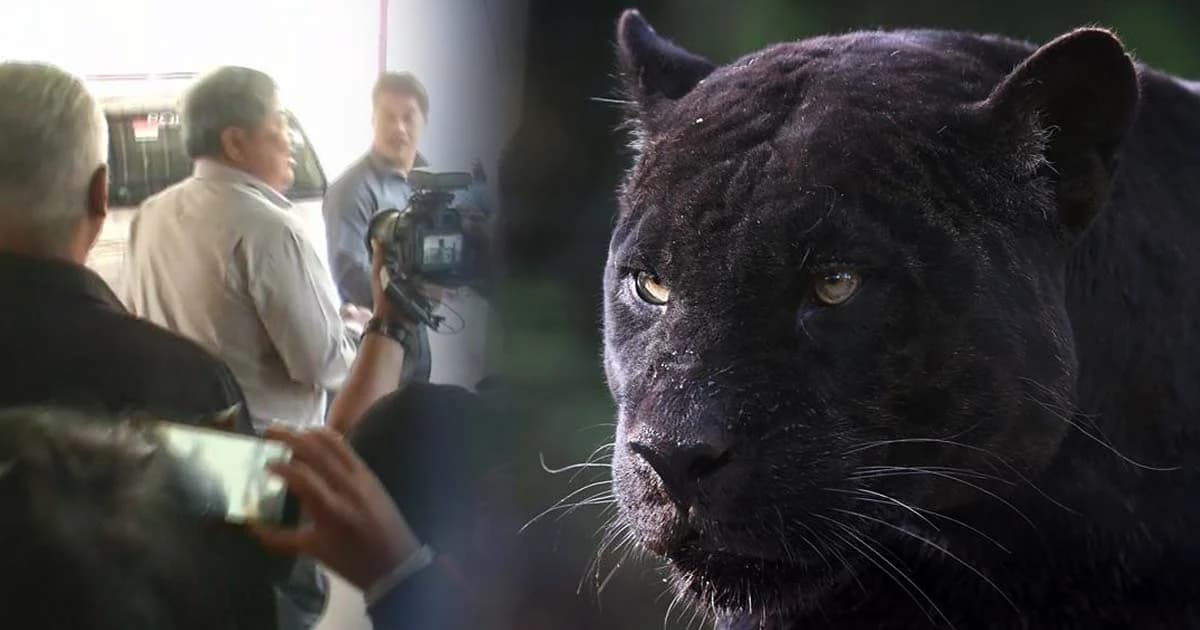 ตำรวจ ยืนยัน ส่งฟ้องผู้ต้องหาล่าสัตว์ป่า ได้ก่อน 26 มี.ค.