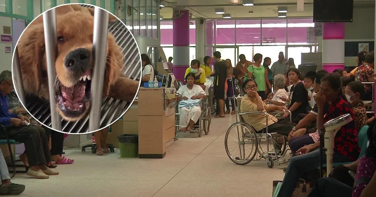 เตือน ! ‘โรคพิษสุนัขบ้า’ ระบาดหนักทั่วประเทศ