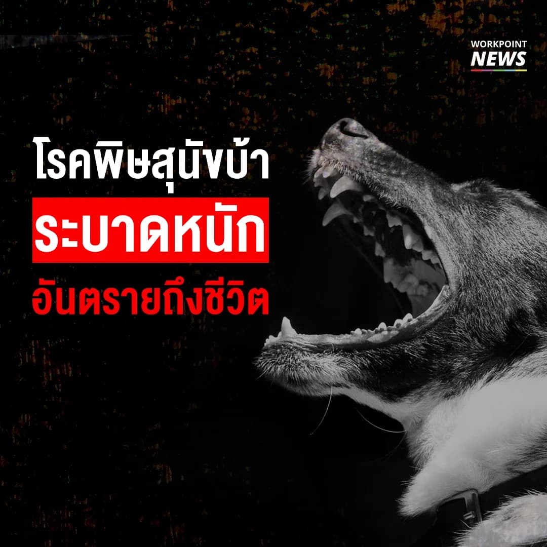 เตือนภัย!!! โรคพิษสุนัขบ้าระบาดหนัก อันตรายถึงชีวิต