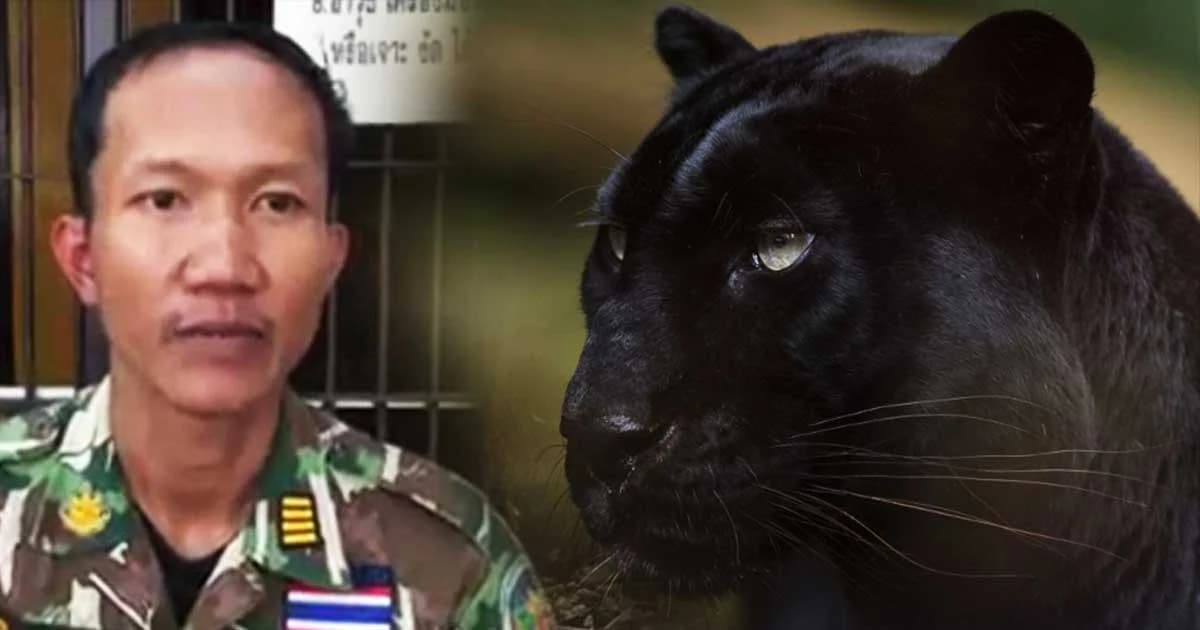 ตำรวจสอบ ‘หัวหน้าวิเชียร’ กลางป่าทุ่งใหญ่ฯ คดีเสี่ยเปรมชัยติดสินบน