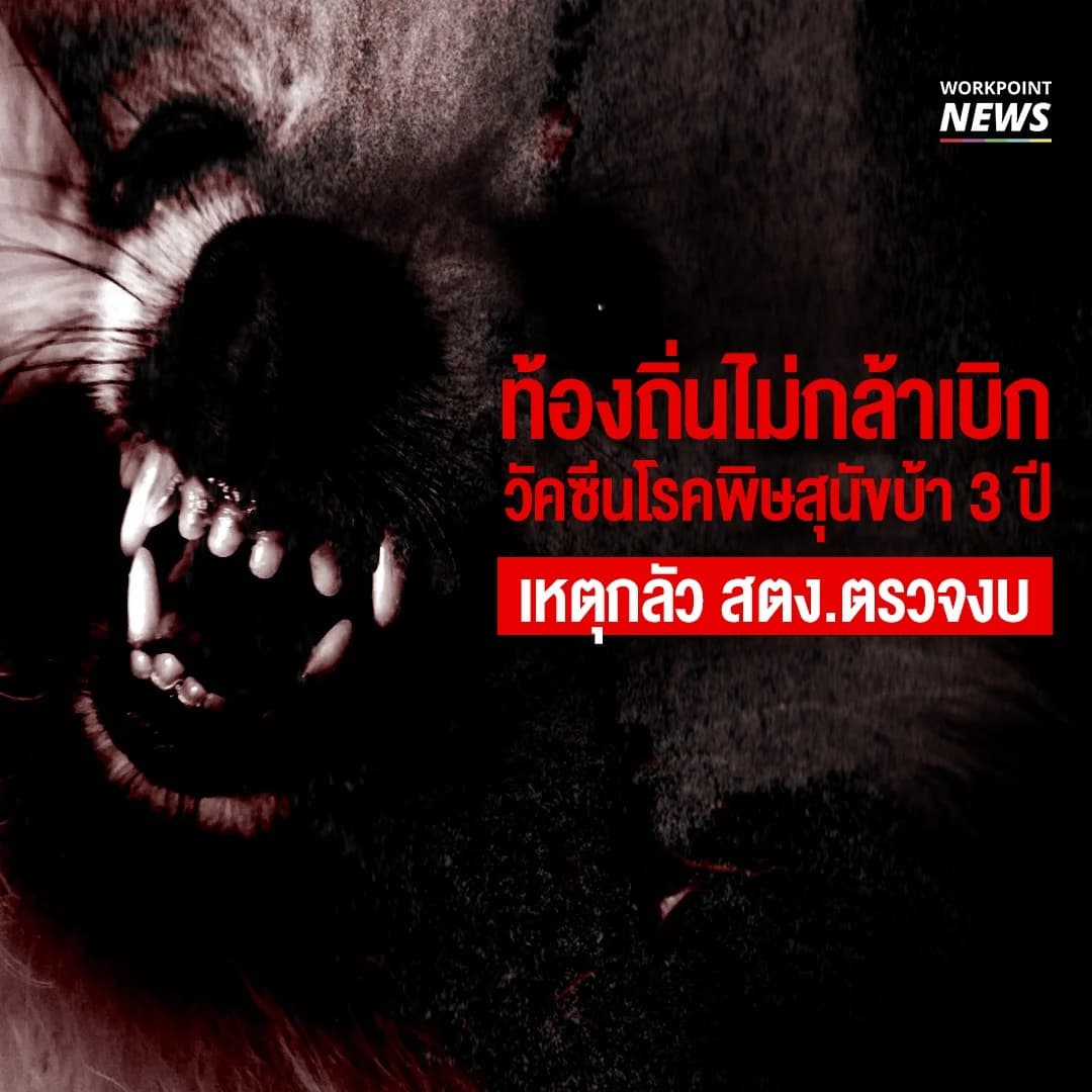 ท้องถิ่นไม่กล้าเบิกวัคซีนโรคพิษสุนัขบ้า 3 ปี เหตุกลัว สตง.ตรวจงบ