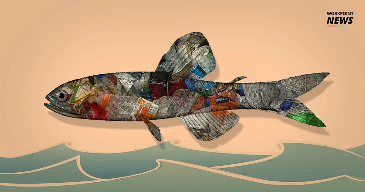 ตะลึง! ปลาใต้ทะเลลึกเกือบ 73% มีเศษพลาสติกอยู่ในท้อง