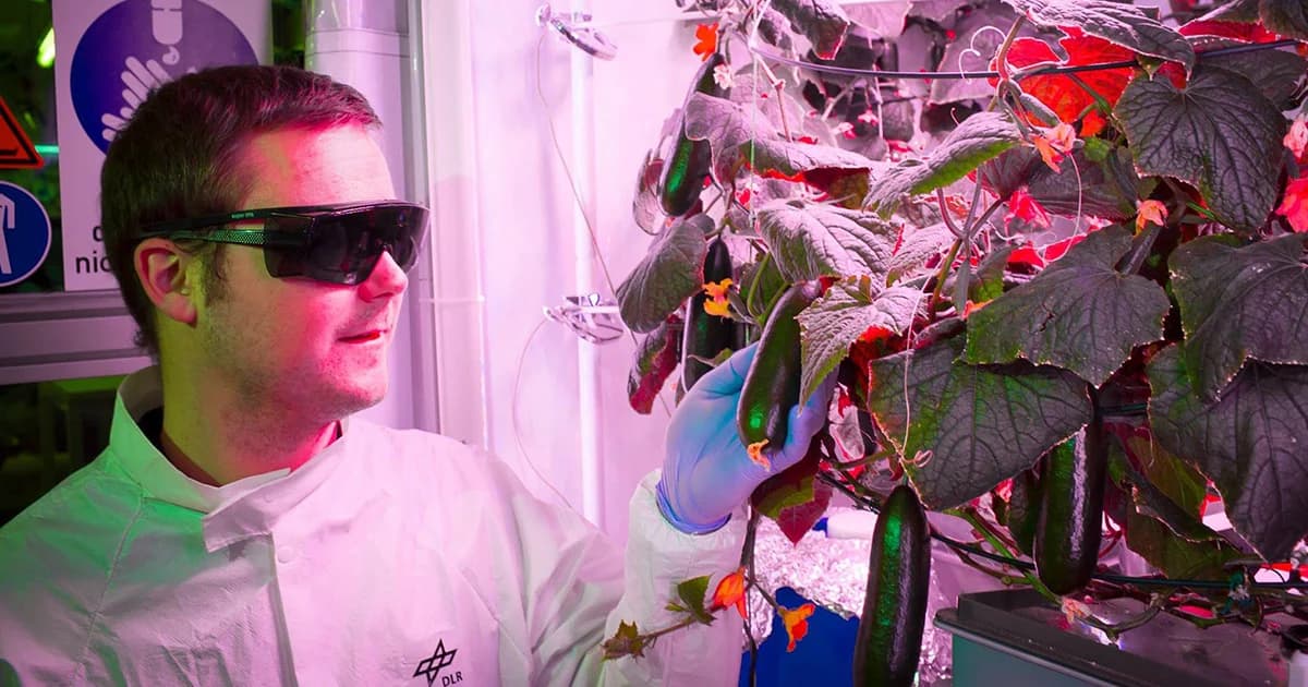 นักวิทยาศาสตร์ทดลองปลูกผักที่ขั้วโลก เล็งปลูกบนดาวอังคารต่อ