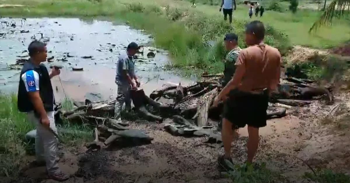 บุกจับแก๊งมอดไม้ ซุกไม้พะยูง 55 ท่อนในสระน้ำวัด ส่งขายต่างประเทศ