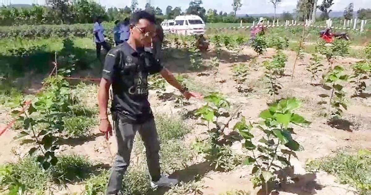 หนุ่มถางหญ้า เจอถุงปริศนาฝังดิน เปิดดูระเบิดใส่มือ เละ !