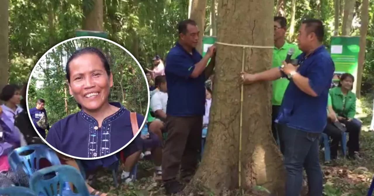 เกษตรกรเฮ! ใช้ต้นไม้ค้ำประกันเงินกู้ได้