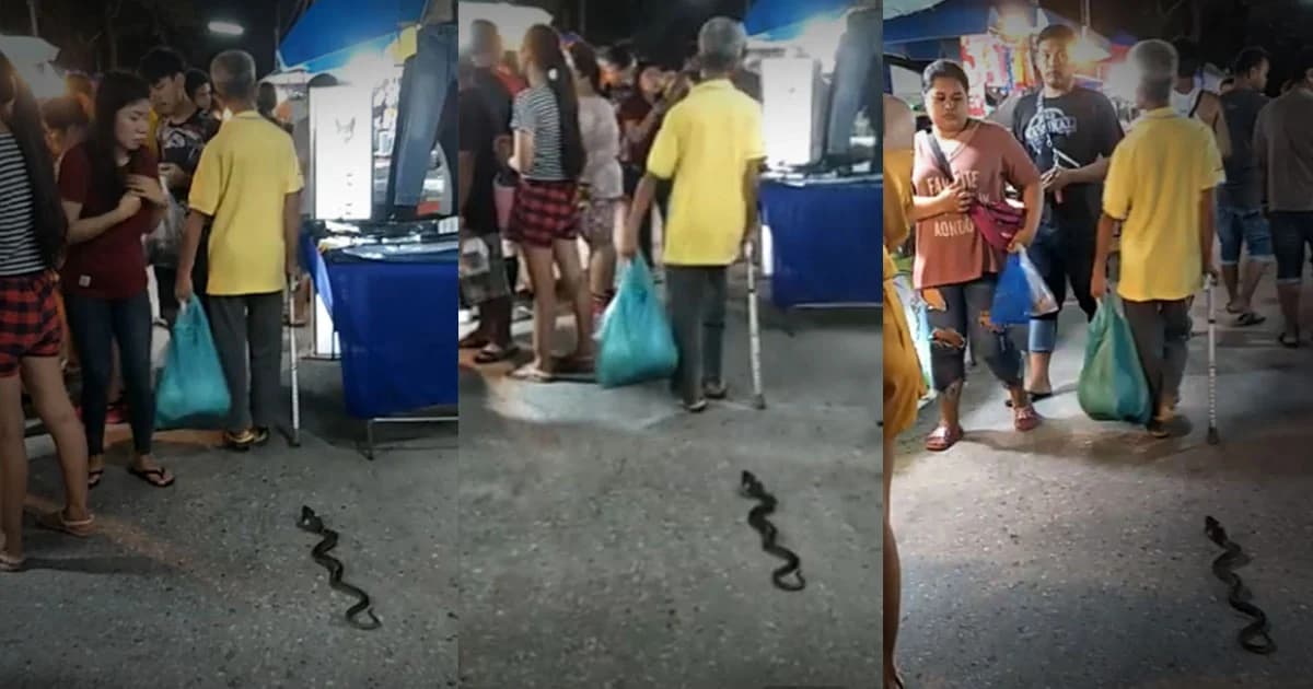 ทั้งขำทั้งงง ! ลุงจูง ‘งู’ มาเดินเล่น ทำเอาผวาทั้งตลาด