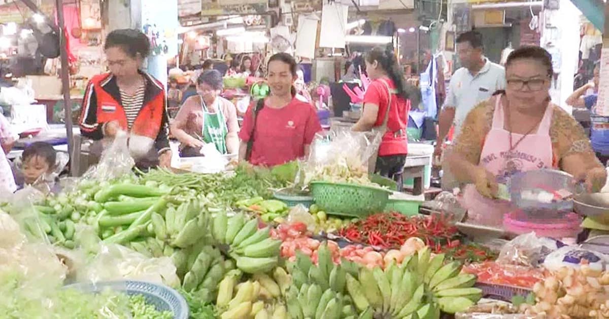 เห็ดราคาพุ่งรับเทศกาลกินเจ สูงสุด กก.ละ 500 บาท