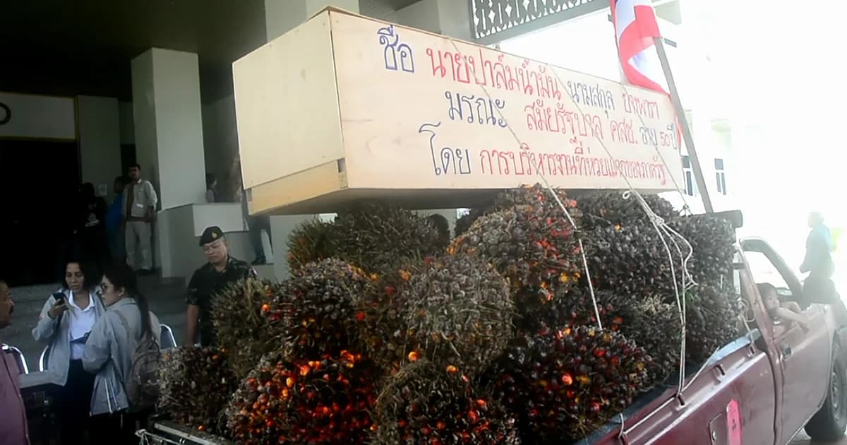 ‘ม็อบปาล์ม’ บุกศาลากลางกระบี่ เตรียมเผาโลง จี้รัฐแก้ปัญหาราคาตกต่ำ