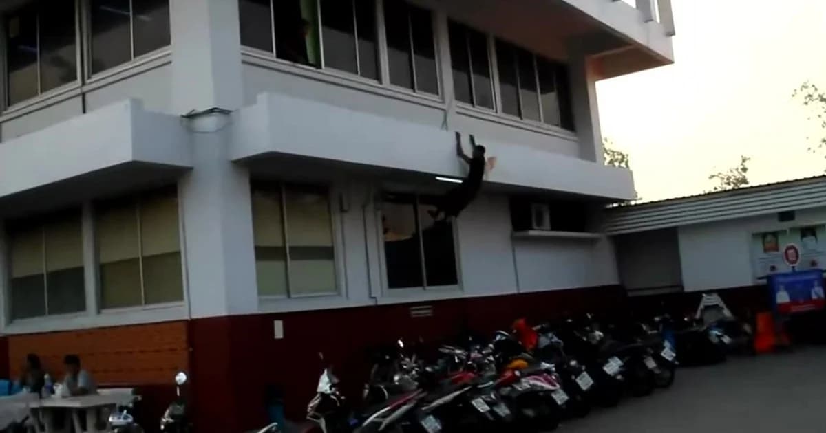 หนุ่มเมียนมาหลอนยา-กลัวอริตามฆ่า มาให้ตร.จับ คลั่งโดดตึกเจ็บ